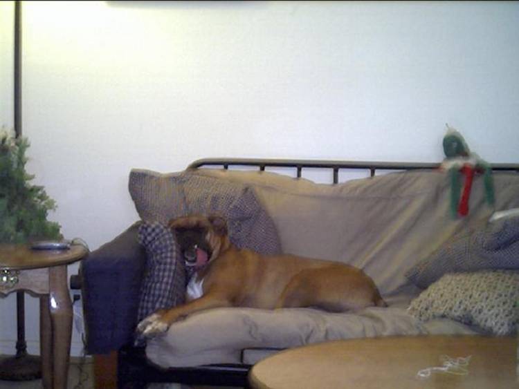 Out for the Count