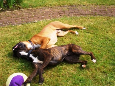 Out for the count!