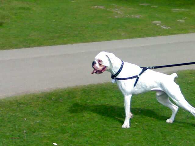 Out on a walk