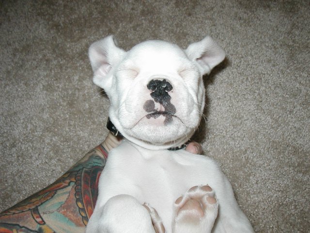 outcold