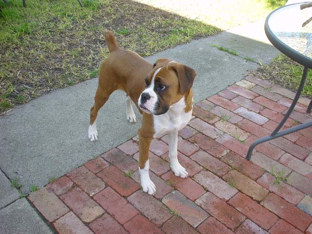 outside is fun