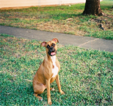 Outside sitting