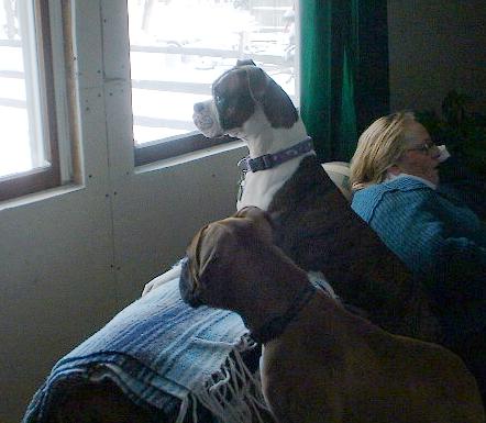 Outside??