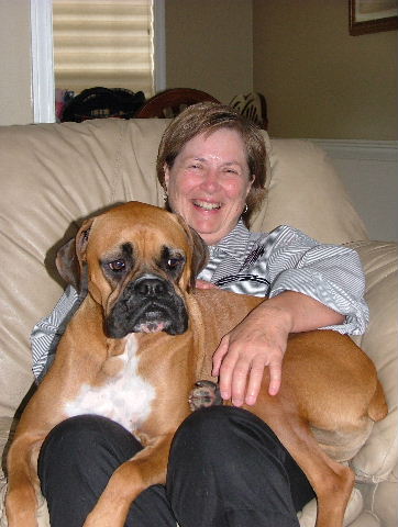 overgrown lapdog