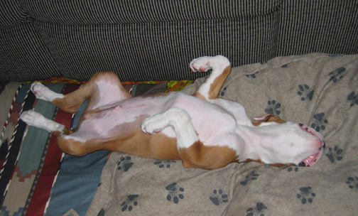 Owen sleeping
