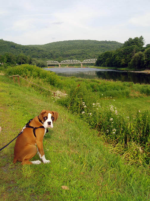 Owen - Upstate NY