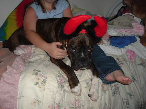 oz in his costume