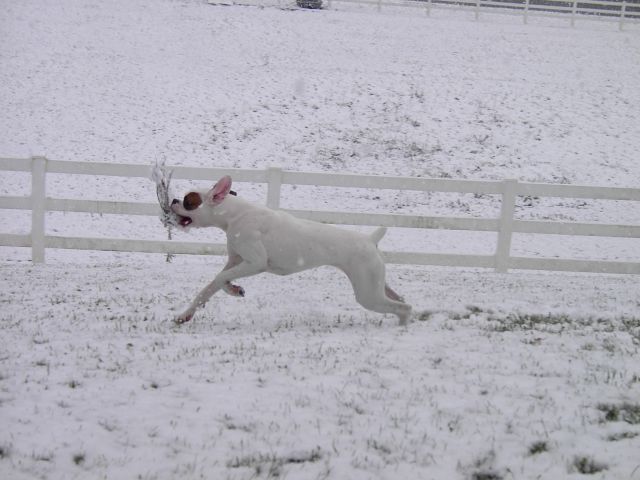 Ozwalds First Snow