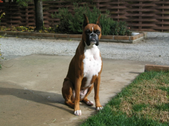 Ozzie Posing