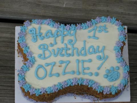 Ozzies first B-Day Cake