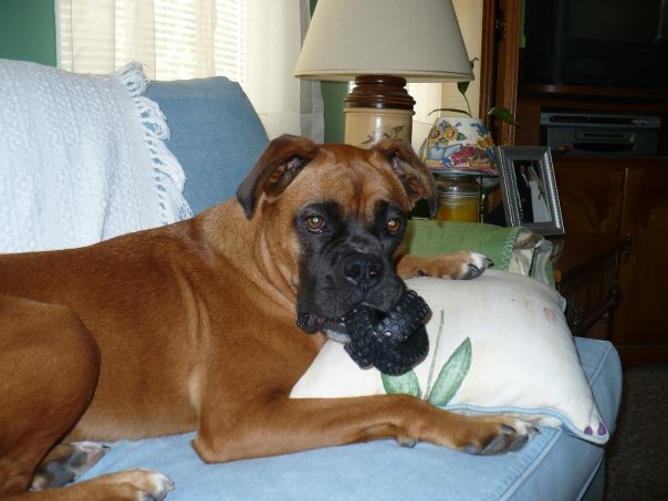 Pacey