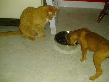 Pacino and Roscoe
