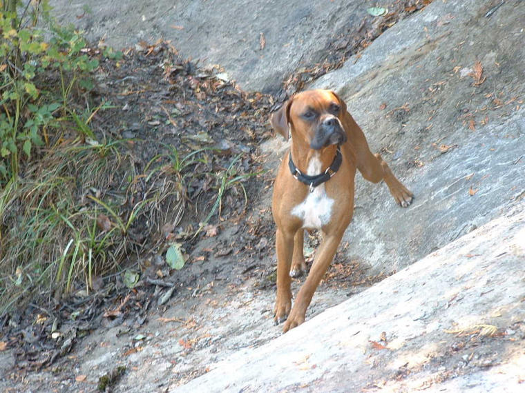Paco, trying to keep his balance