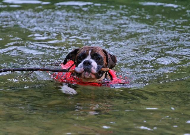 Paddling