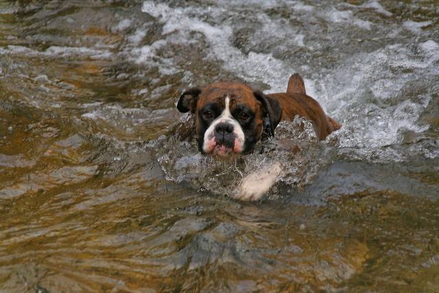 Paddling