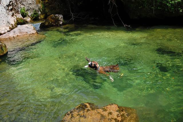 Paddling