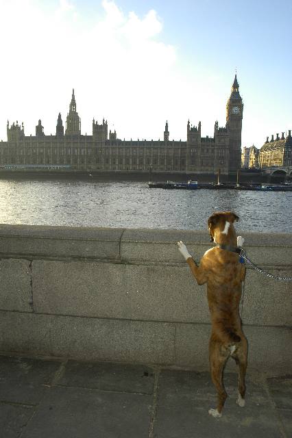 Palace of Westminster
