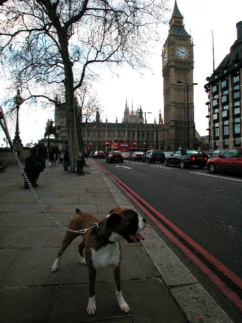 Palace of Westminster