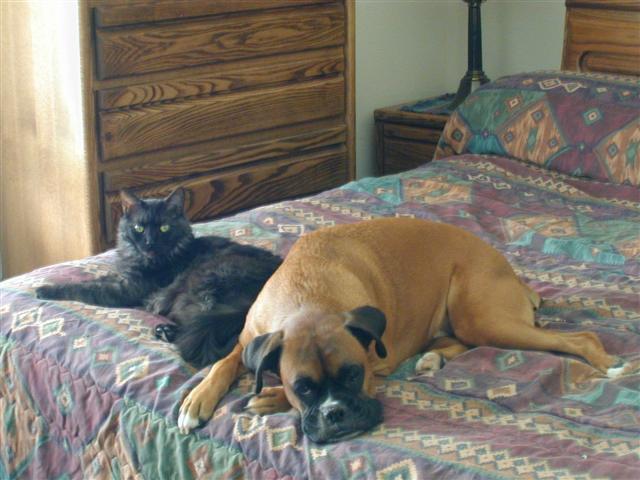 Pancho and Salem