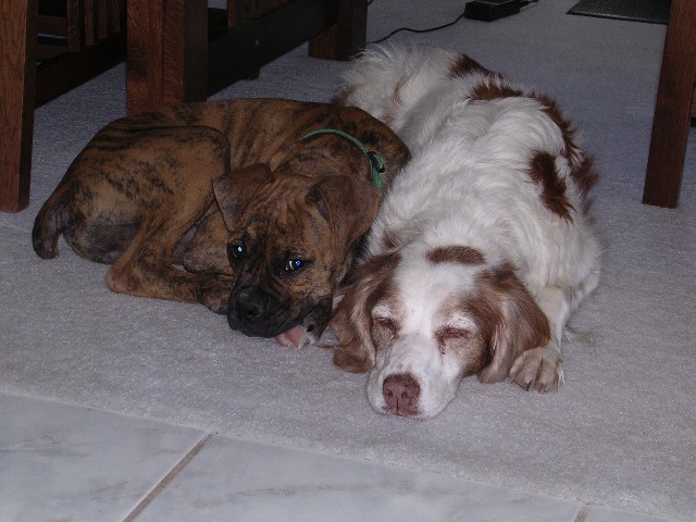 PanzerAndBailey
