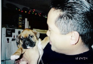 papas boy 6wks