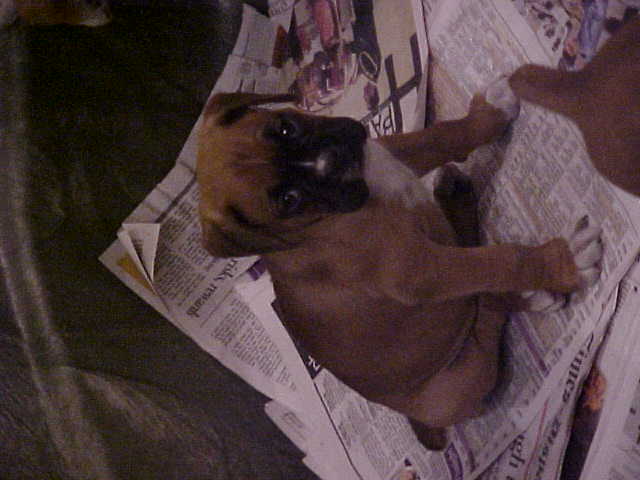 paper again