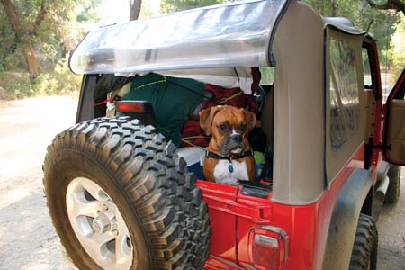 Papi Goes Camping
