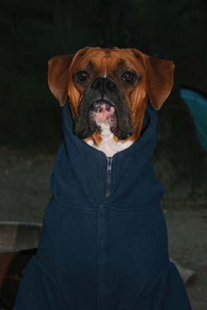 Papi Keeping Warm