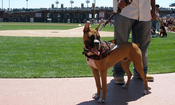 Parading around SBC baseball field before the game.