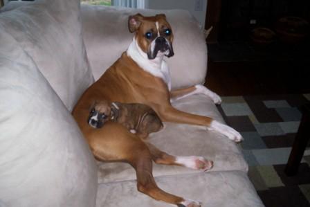 Paris and Diesel