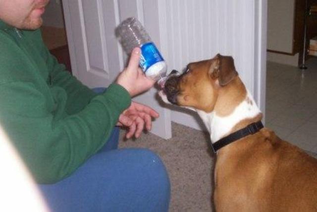 Paris getting hydrated!