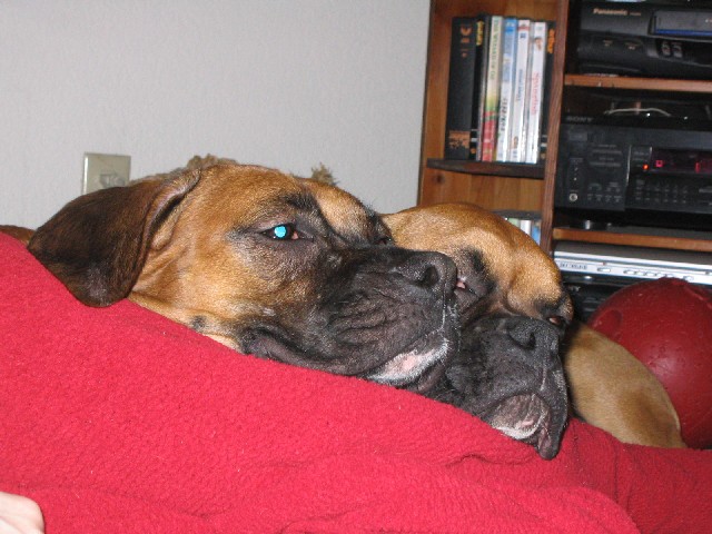 Parked on Momma's Leg