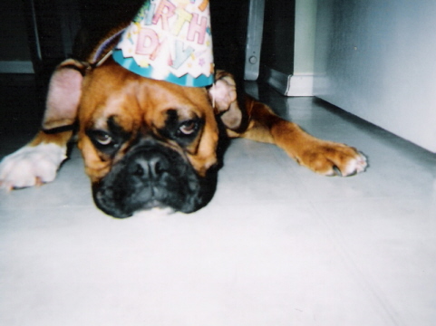 Party Pooper
