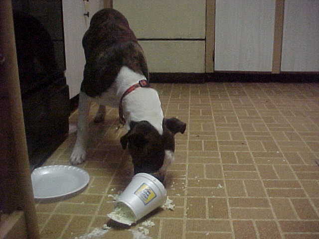 Pass the Coleslaw?