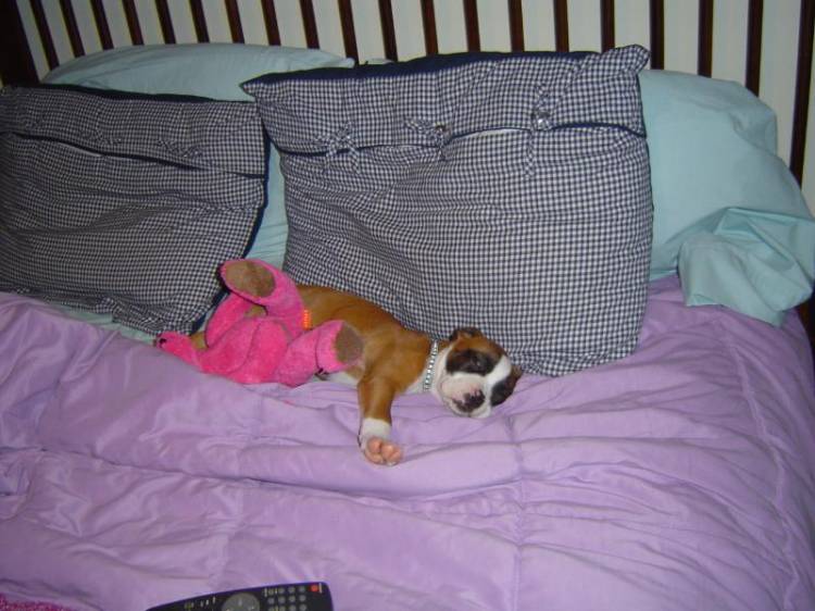 passed out on moms bed