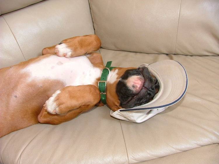 passed out