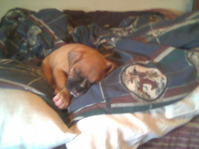Passed out