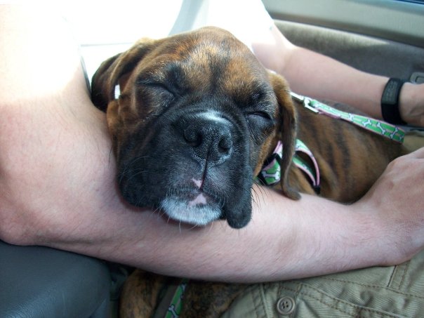 passed out