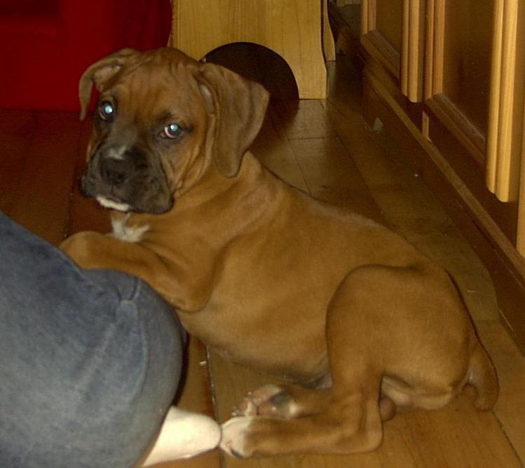 Paulie's 1st day home