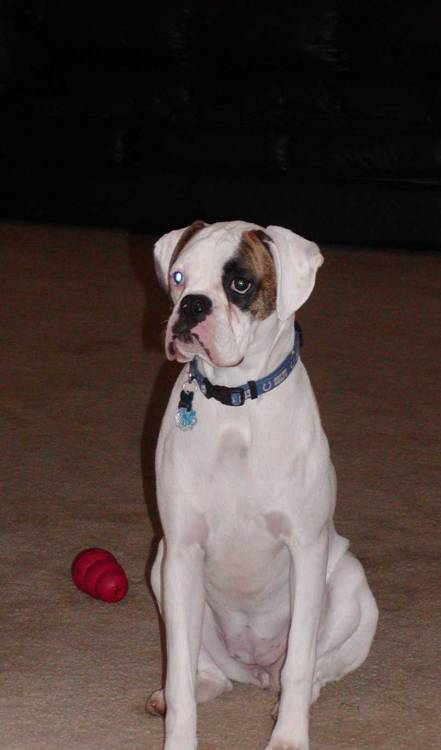 Payton 11 months