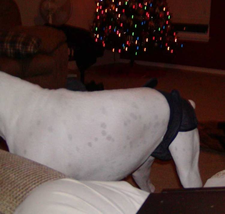 Payton and the diaper