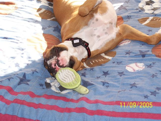 Payton being naughty :)