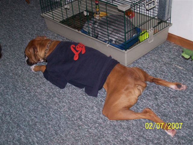 Payton Feb 07