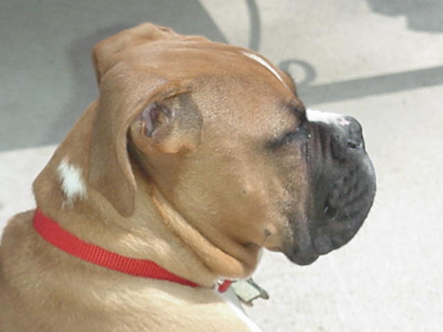 Payton profile