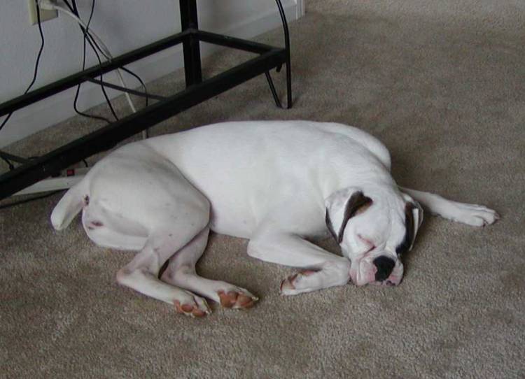 Payton Sleeping