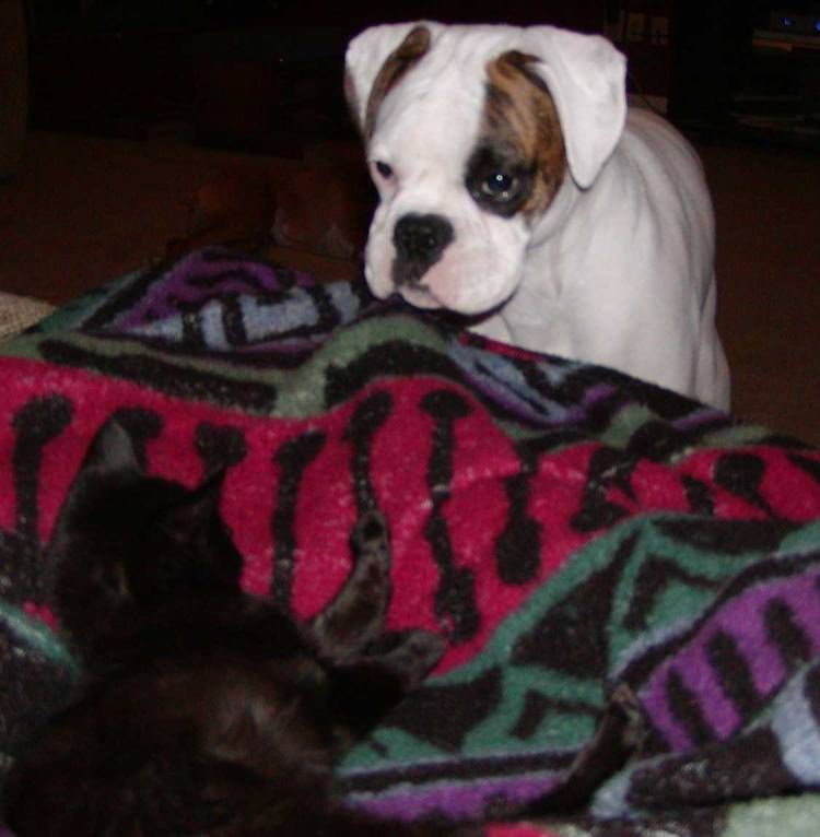 Payton starring down Eboni