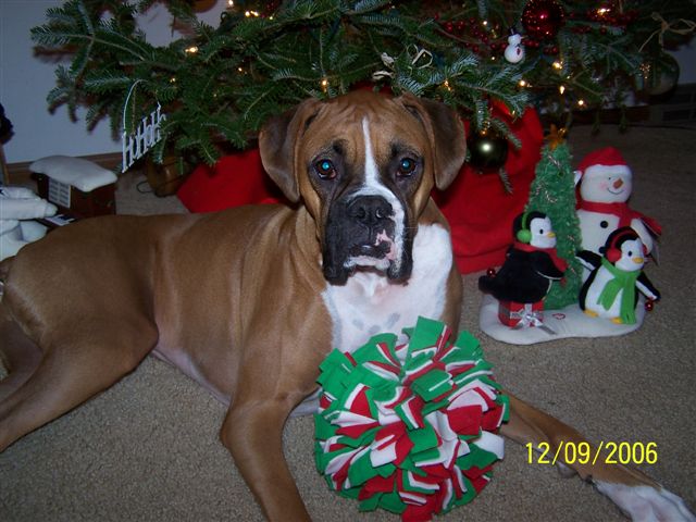 Payton_Xmas_06_001