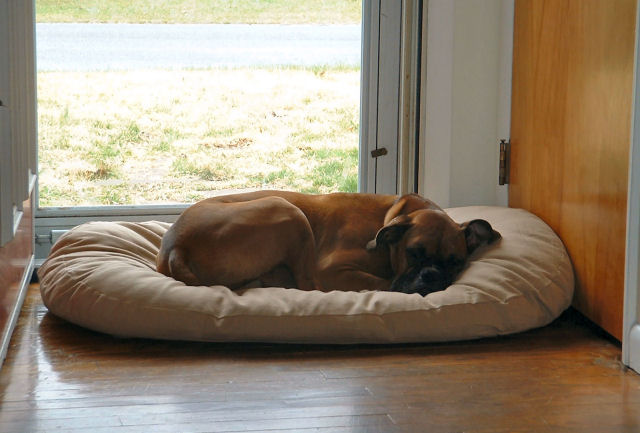 Peaceful nap