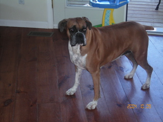 peanut 10-2004
