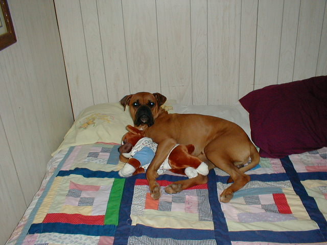 Peanut and his Baby